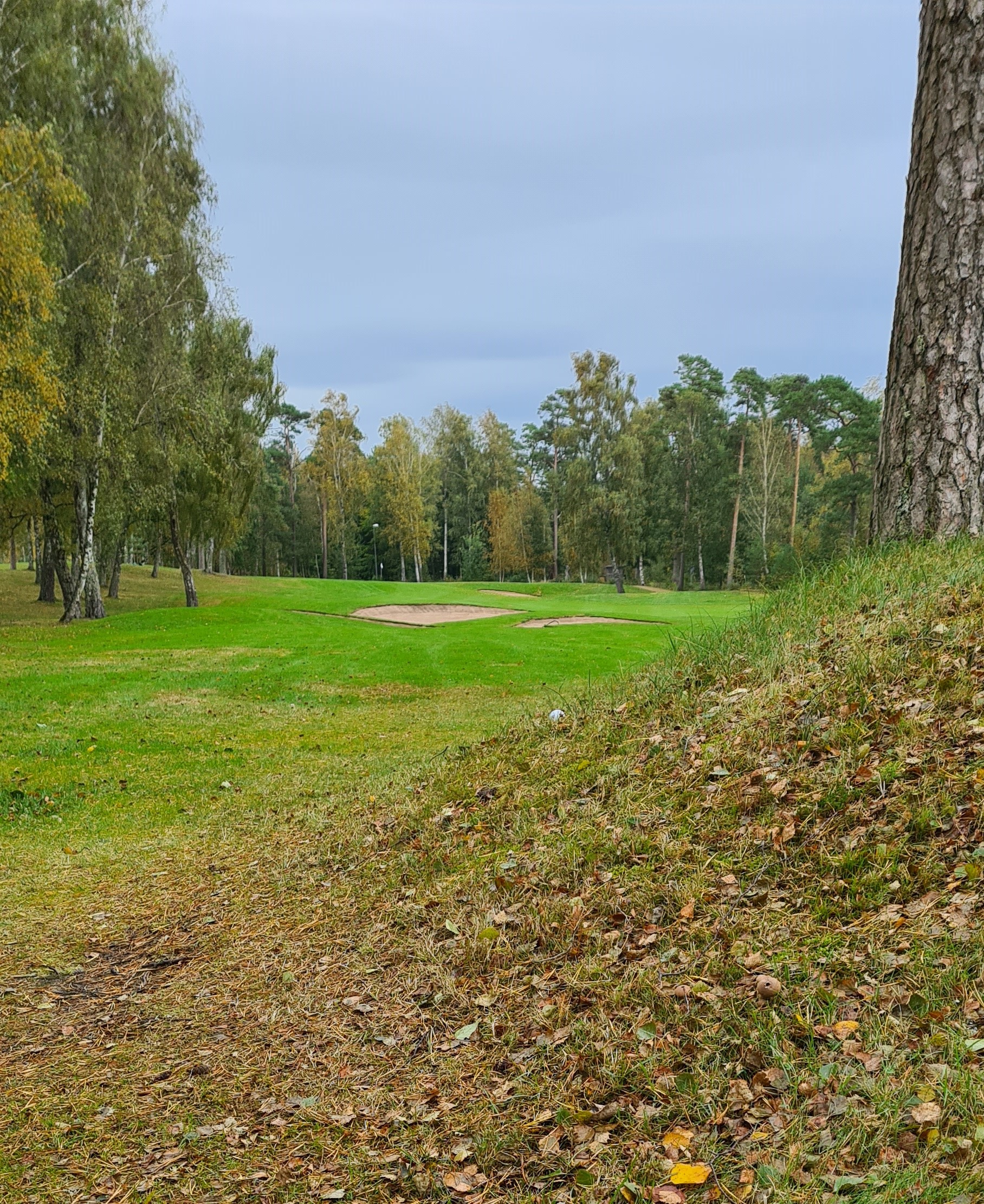 Härlig lutning för Lindroth på Södra-12 (3/10)